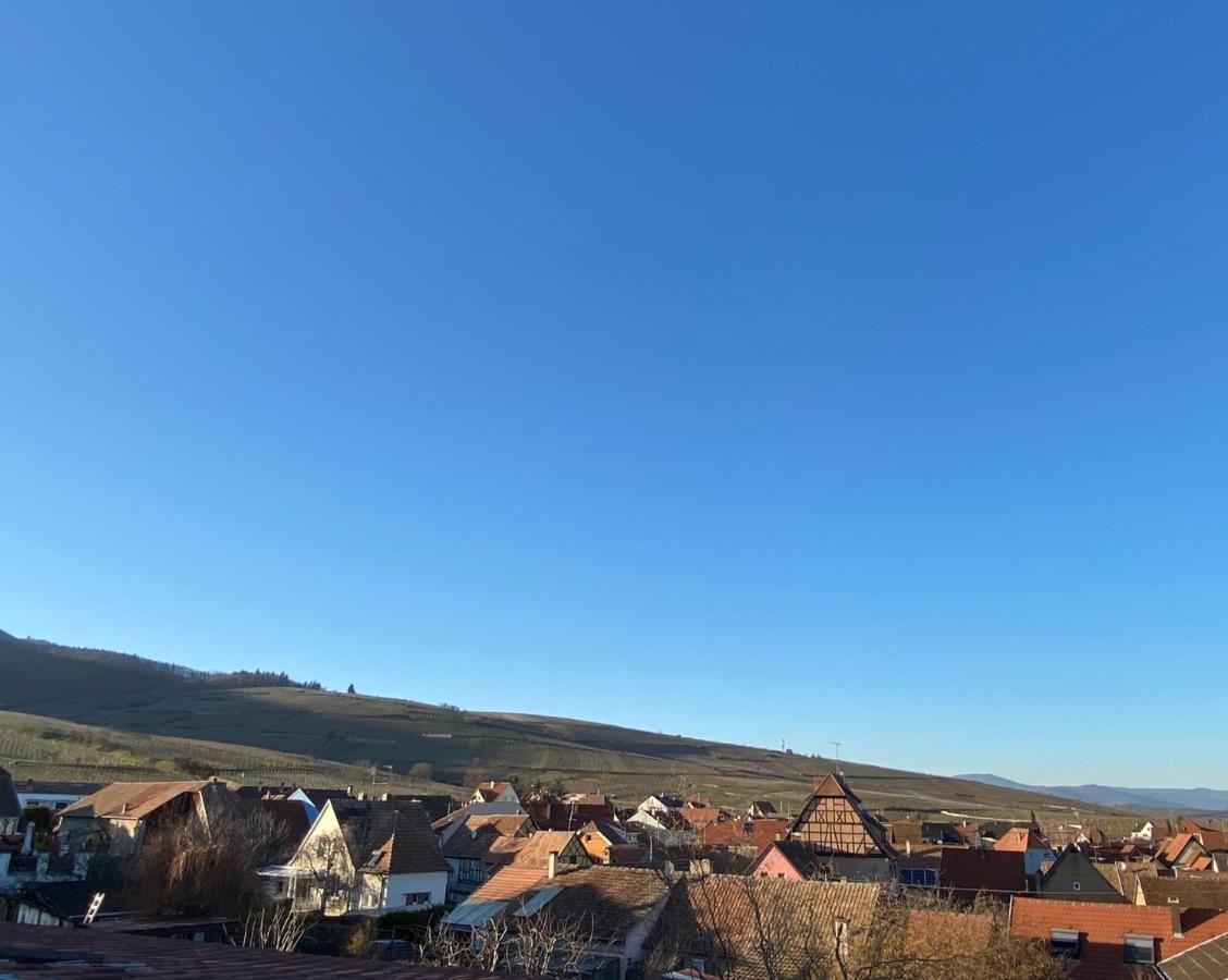 Duplex Le 12 - Appartement Avec Terrasse Dans Le Vignoble - 5 Mn Du Centre De Colmar Wettolsheim Buitenkant foto